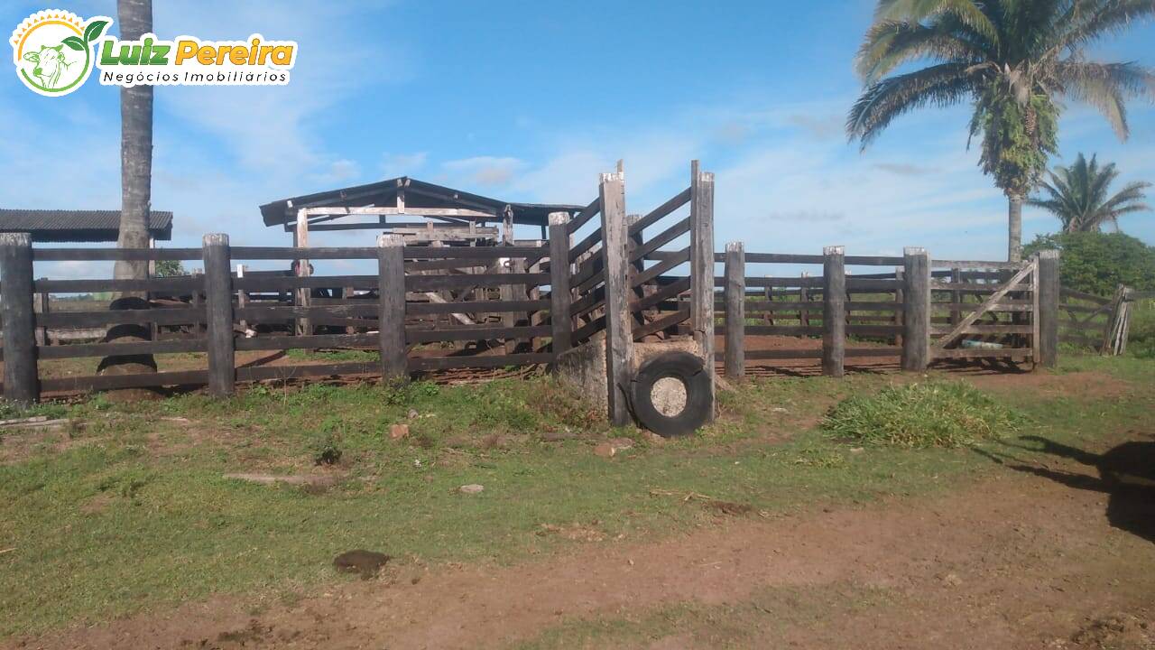 Fazenda à venda, 5650000m² - Foto 21