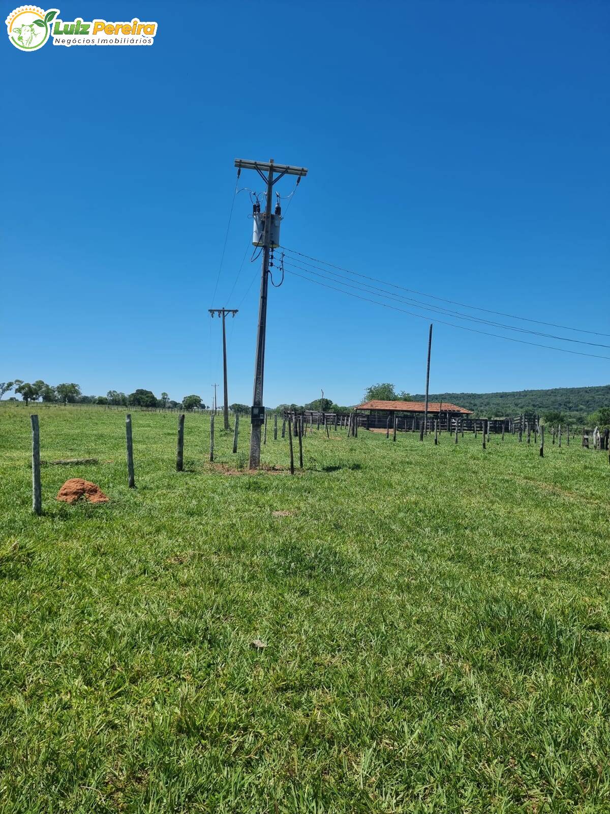 Fazenda à venda, 4480000m² - Foto 15