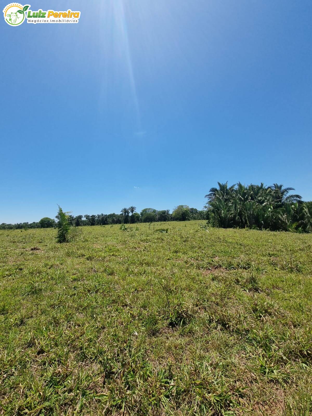 Fazenda à venda, 4480000m² - Foto 7