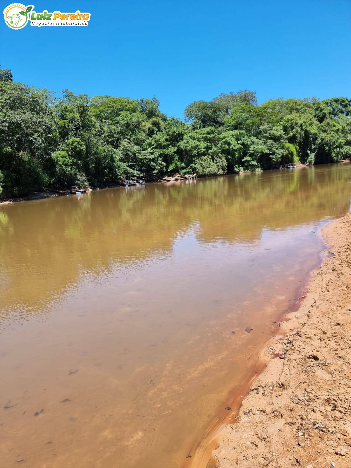 Fazenda à venda, 4480000m² - Foto 13