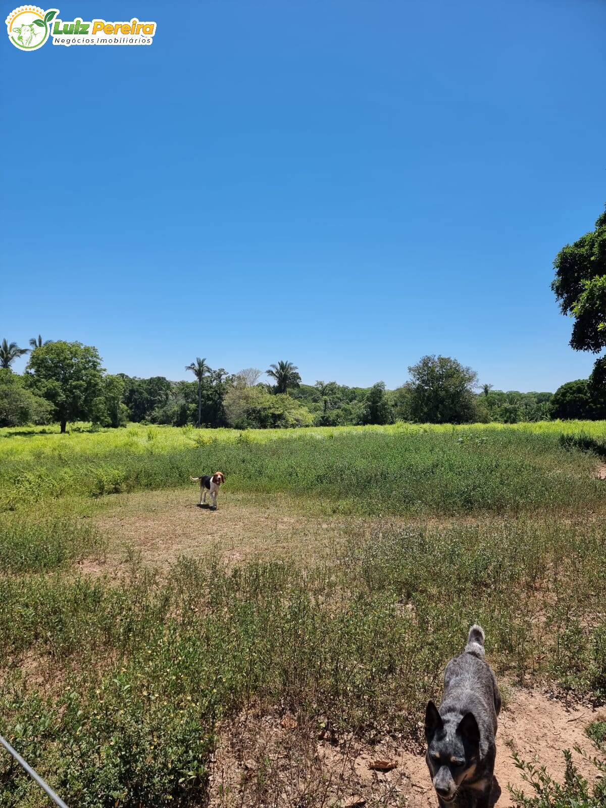 Fazenda à venda, 4480000m² - Foto 8