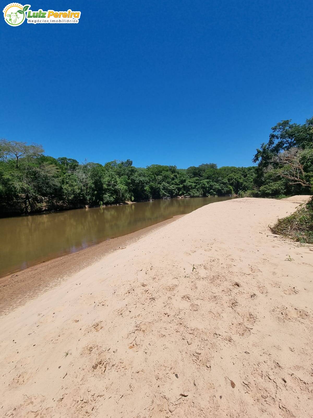 Fazenda à venda, 4480000m² - Foto 14