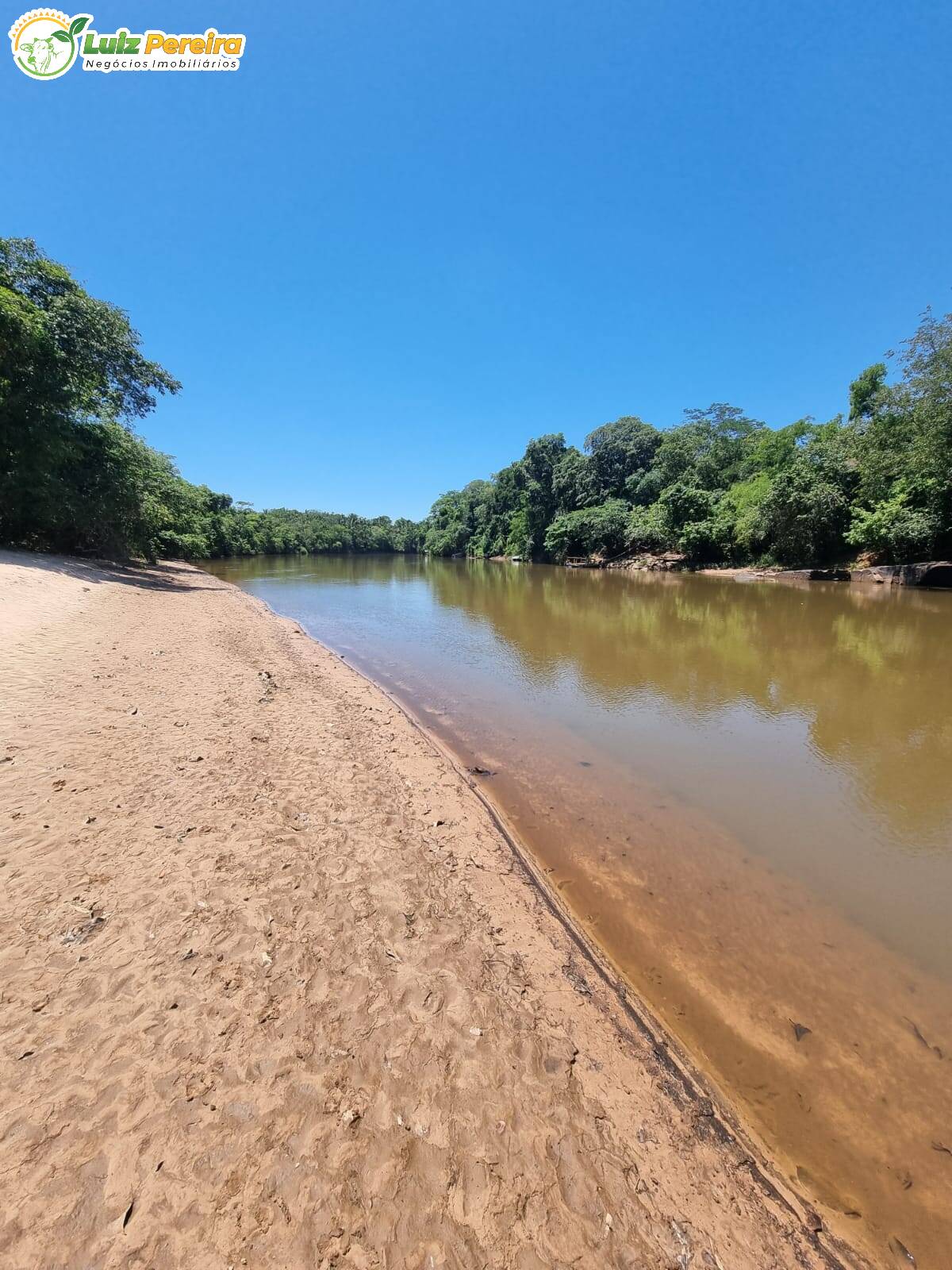 Fazenda à venda, 4480000m² - Foto 9