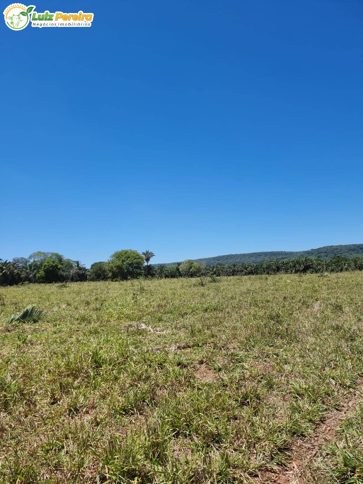 Fazenda à venda, 4480000m² - Foto 12