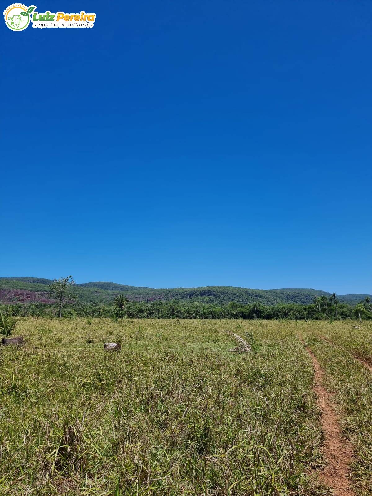 Fazenda à venda, 4480000m² - Foto 10