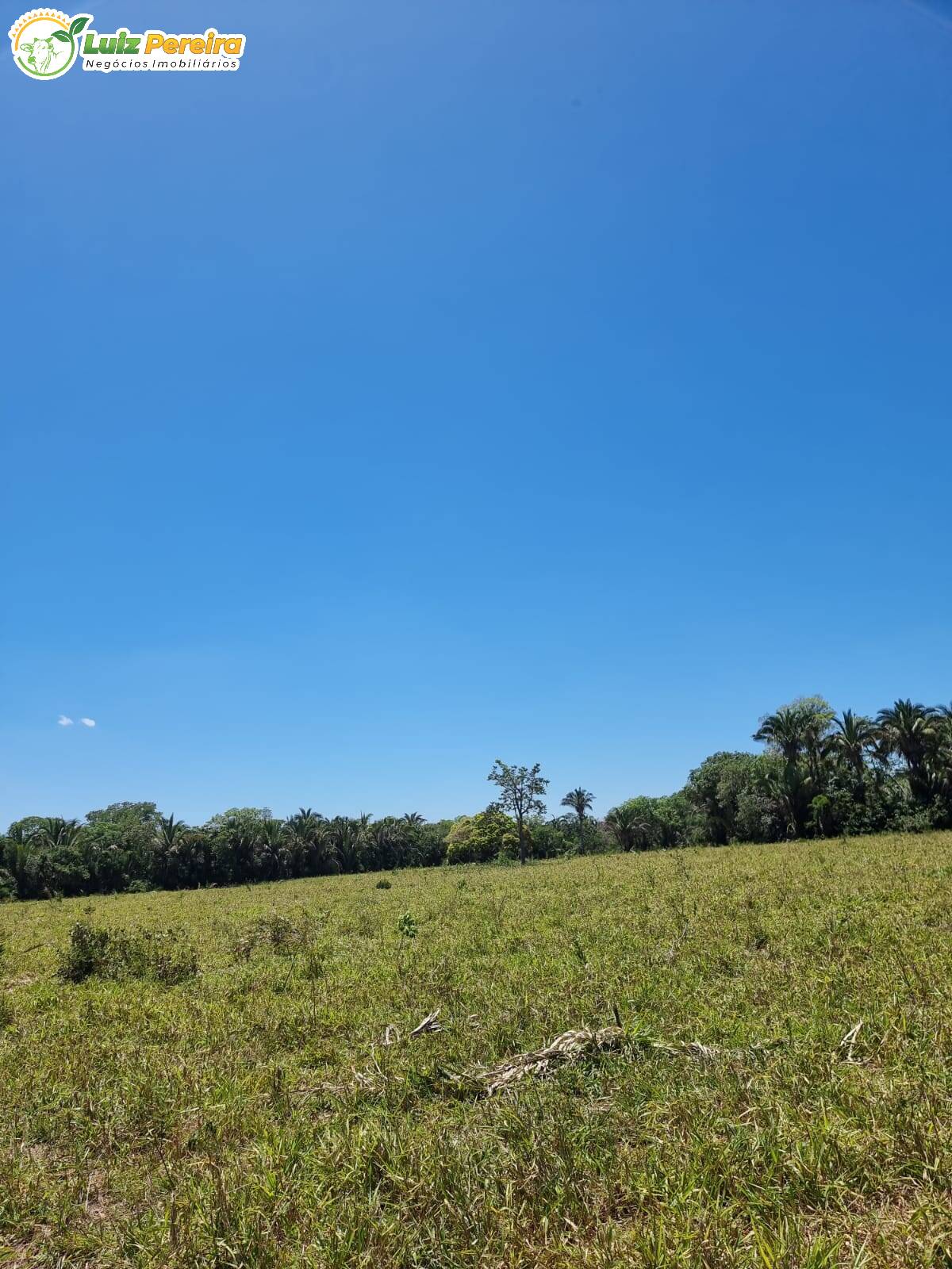 Fazenda à venda, 4480000m² - Foto 11