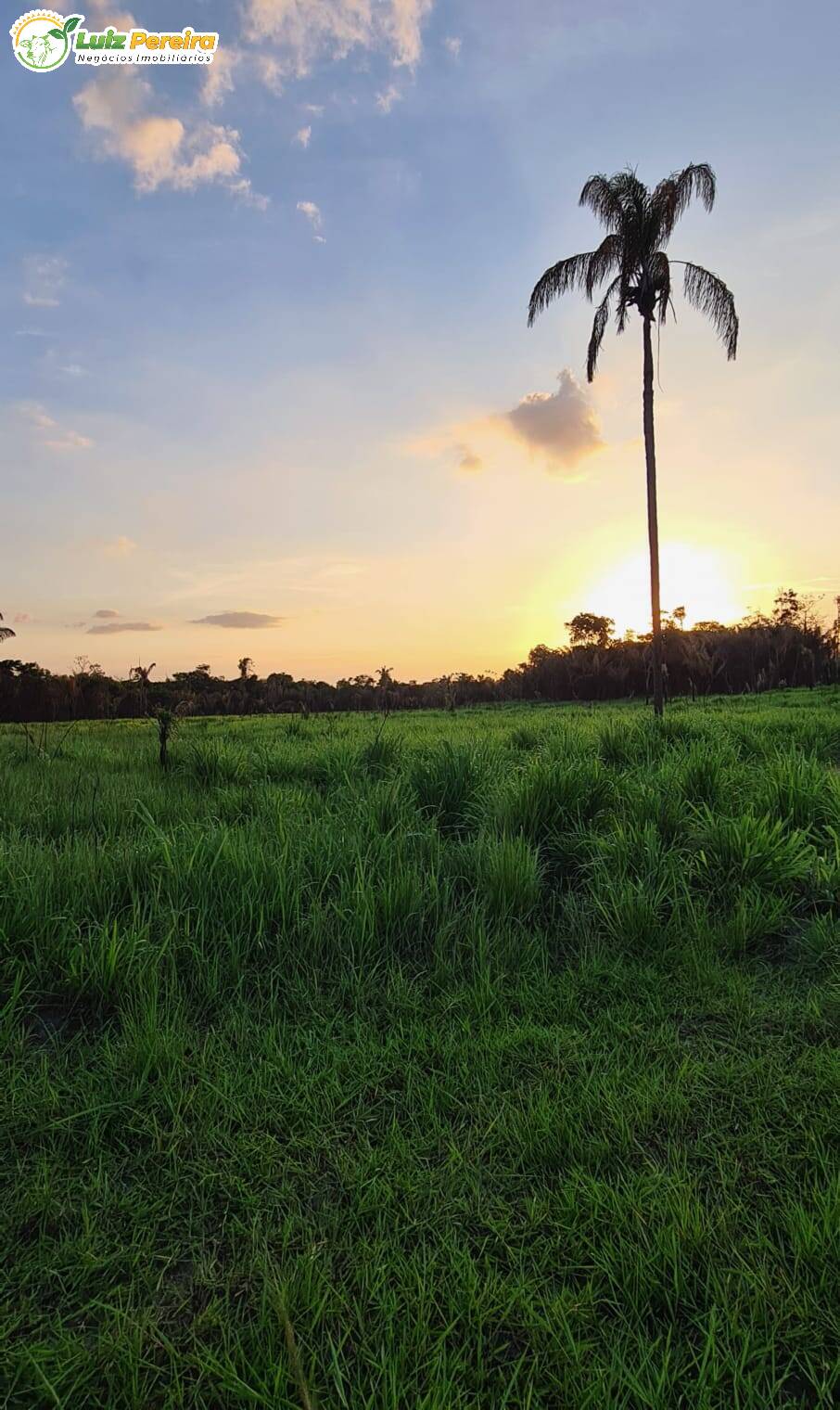 Fazenda à venda, 10357600m² - Foto 5