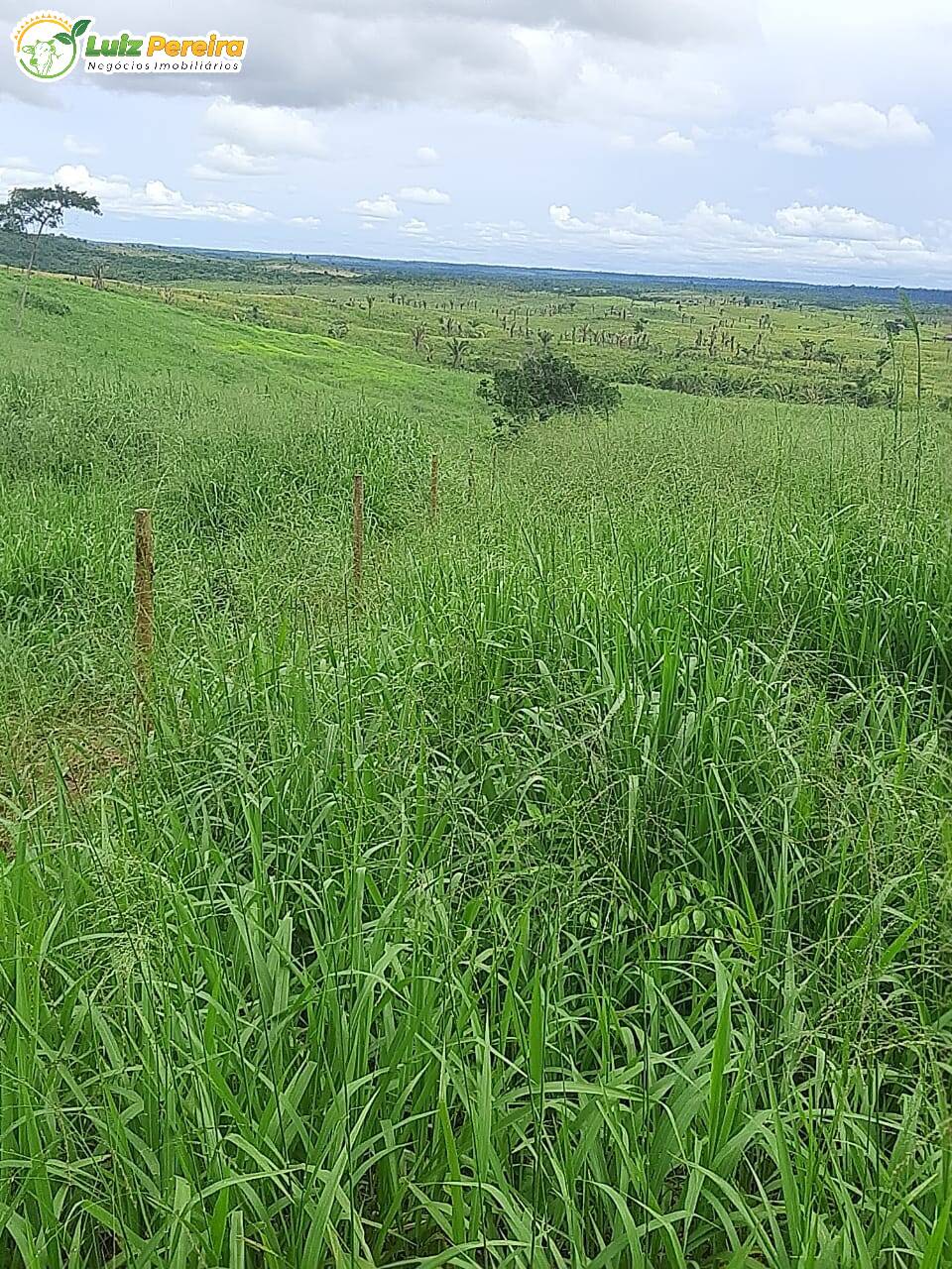 Fazenda à venda, 10357600m² - Foto 7