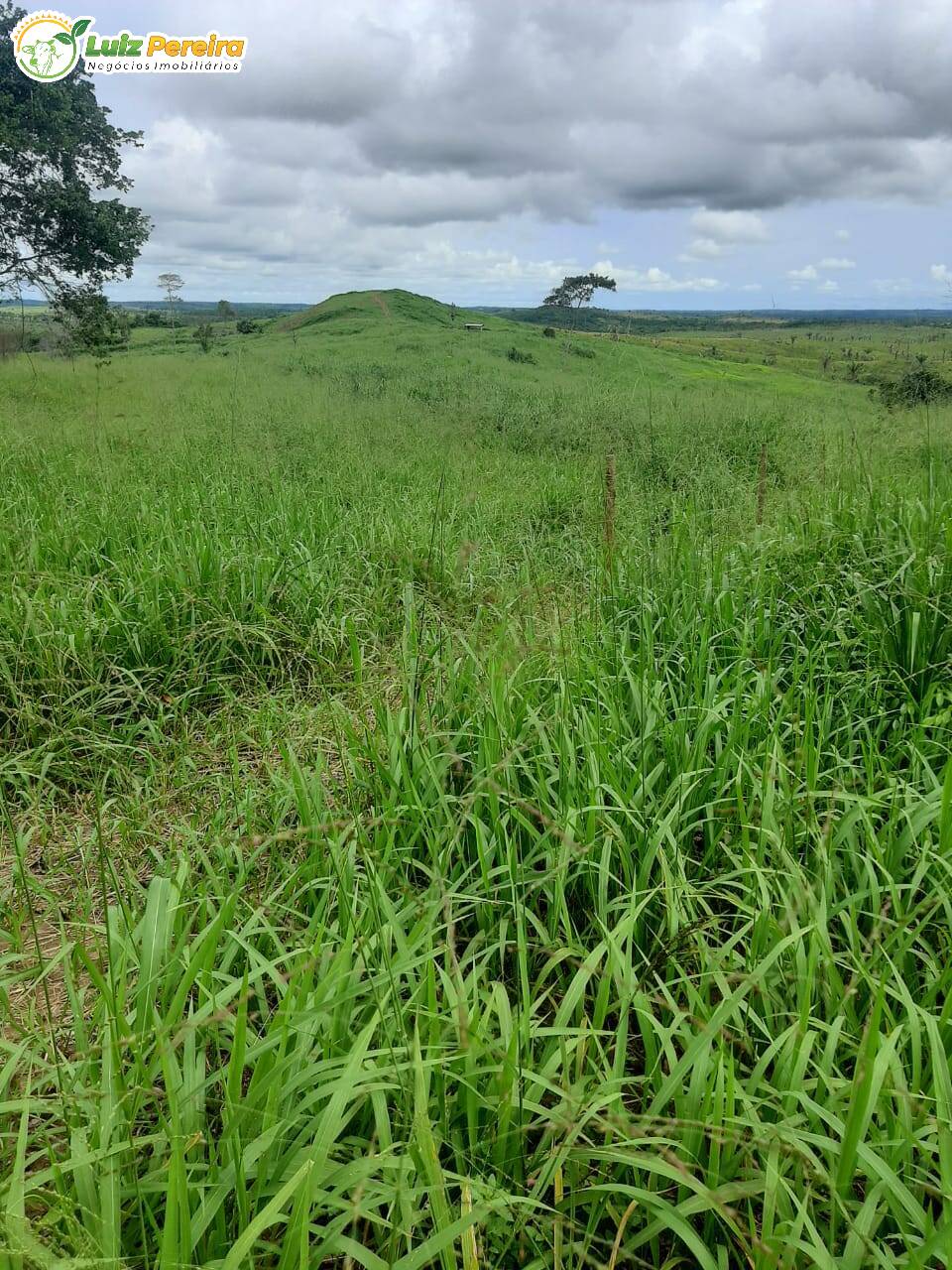 Fazenda à venda, 10357600m² - Foto 8