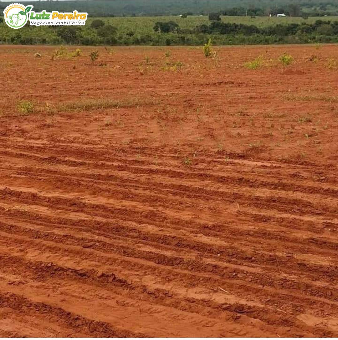 Fazenda à venda, 20850000m² - Foto 11