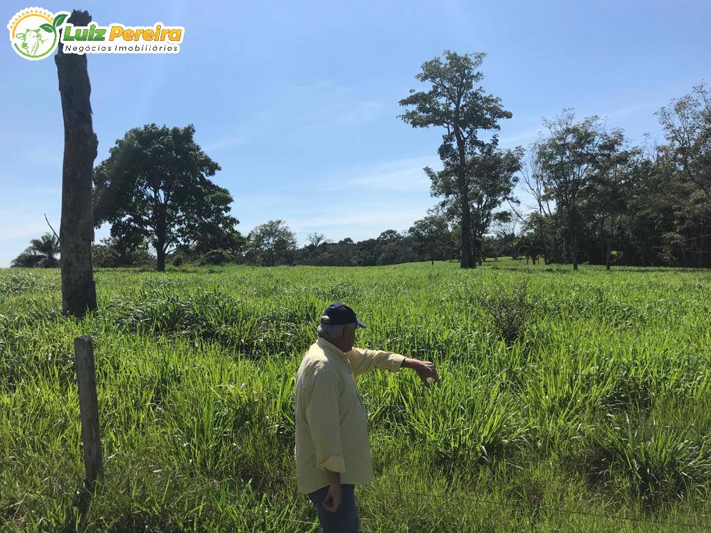 Fazenda à venda, 20850000m² - Foto 5