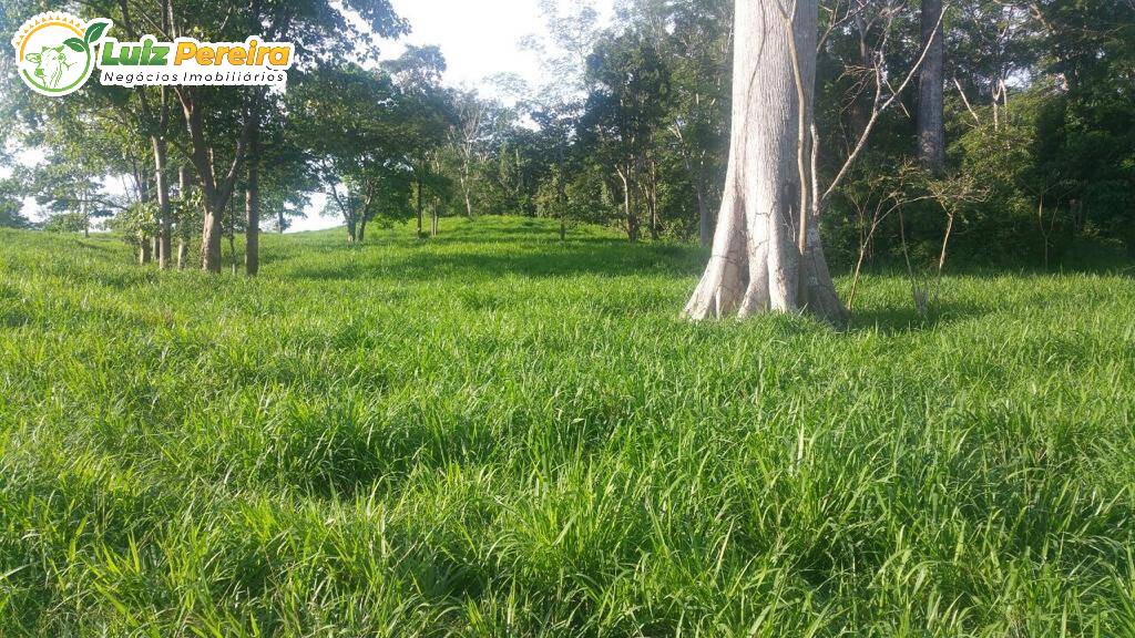 Fazenda à venda, 20850000m² - Foto 10