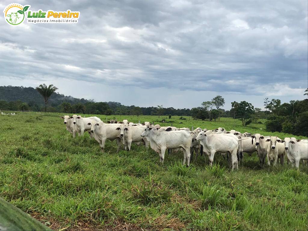 Fazenda à venda, 20850000m² - Foto 7