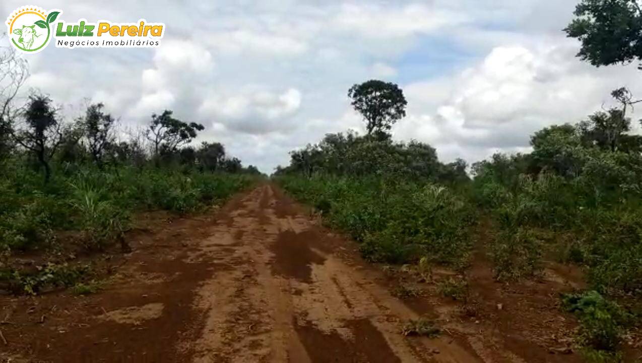 Fazenda à venda, 3400000m² - Foto 5