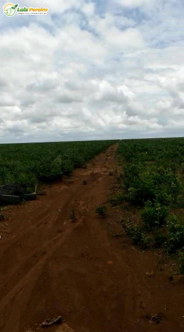 Fazenda à venda, 3400000m² - Foto 7