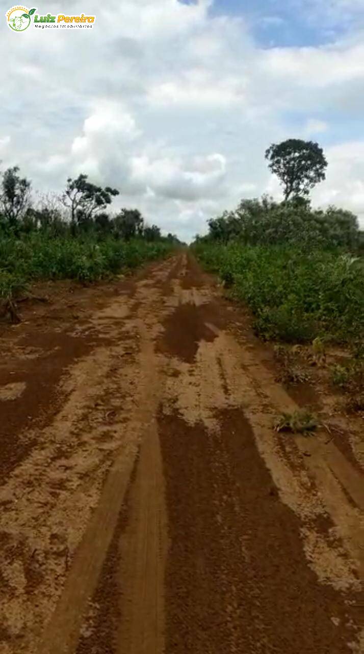 Fazenda à venda, 3400000m² - Foto 9