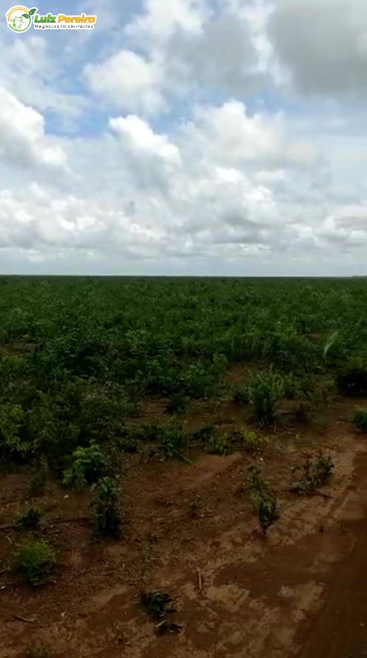 Fazenda à venda, 3400000m² - Foto 10