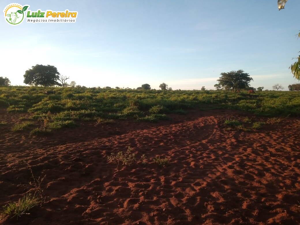 Fazenda à venda, 2040000m² - Foto 3