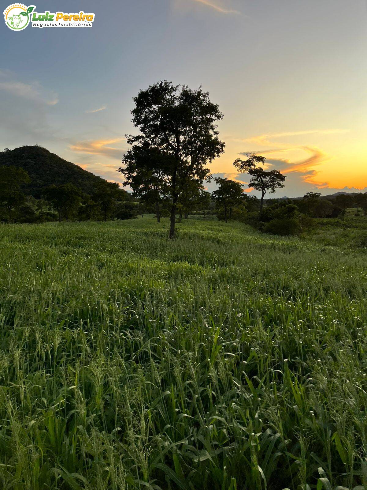 Fazenda à venda, 16890000m² - Foto 3