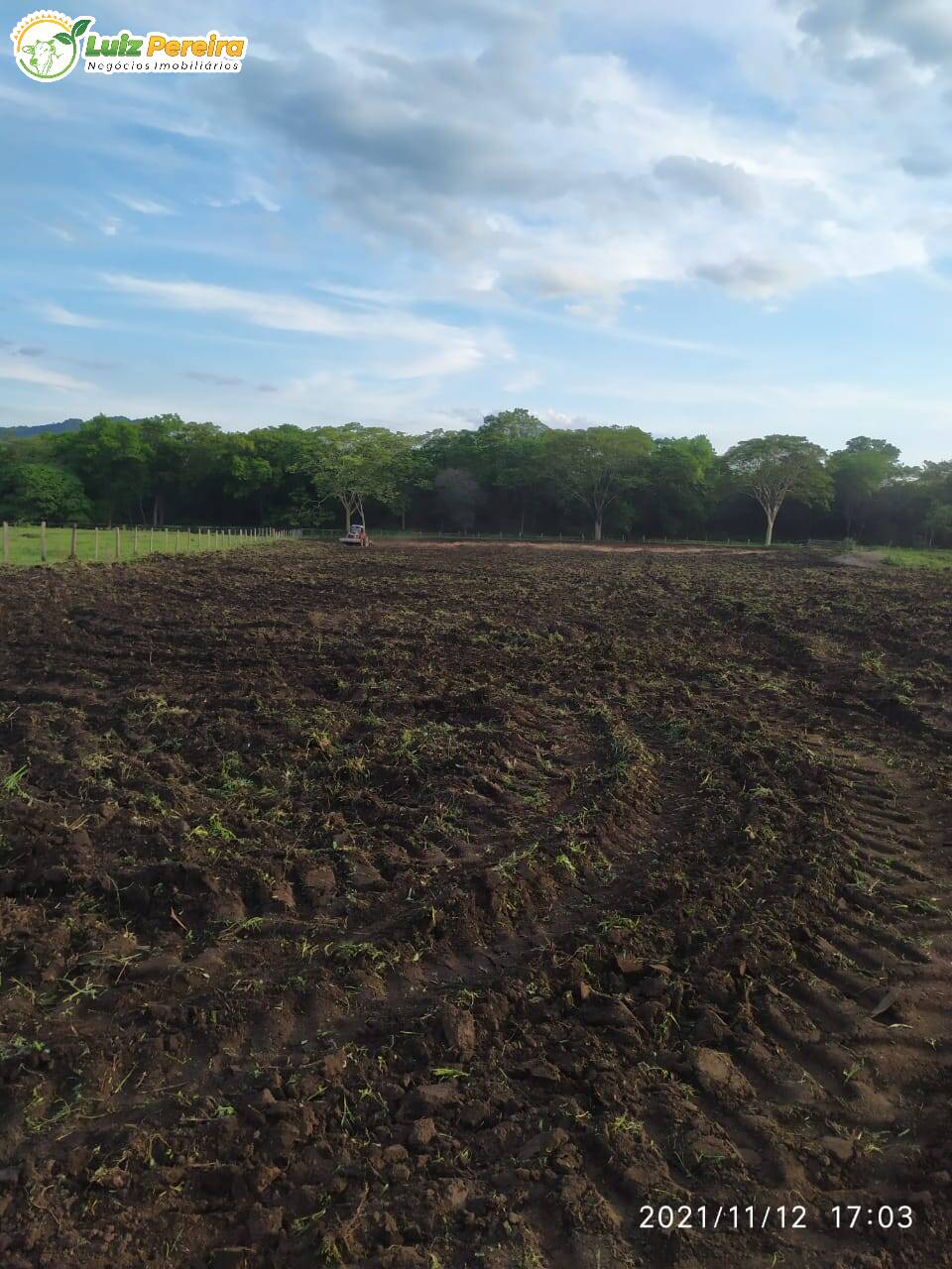 Fazenda-Sítio-Chácara, 1689 hectares - Foto 4