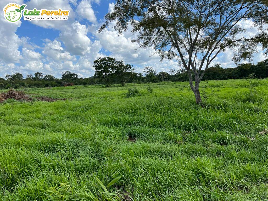 Fazenda-Sítio-Chácara, 1689 hectares - Foto 2