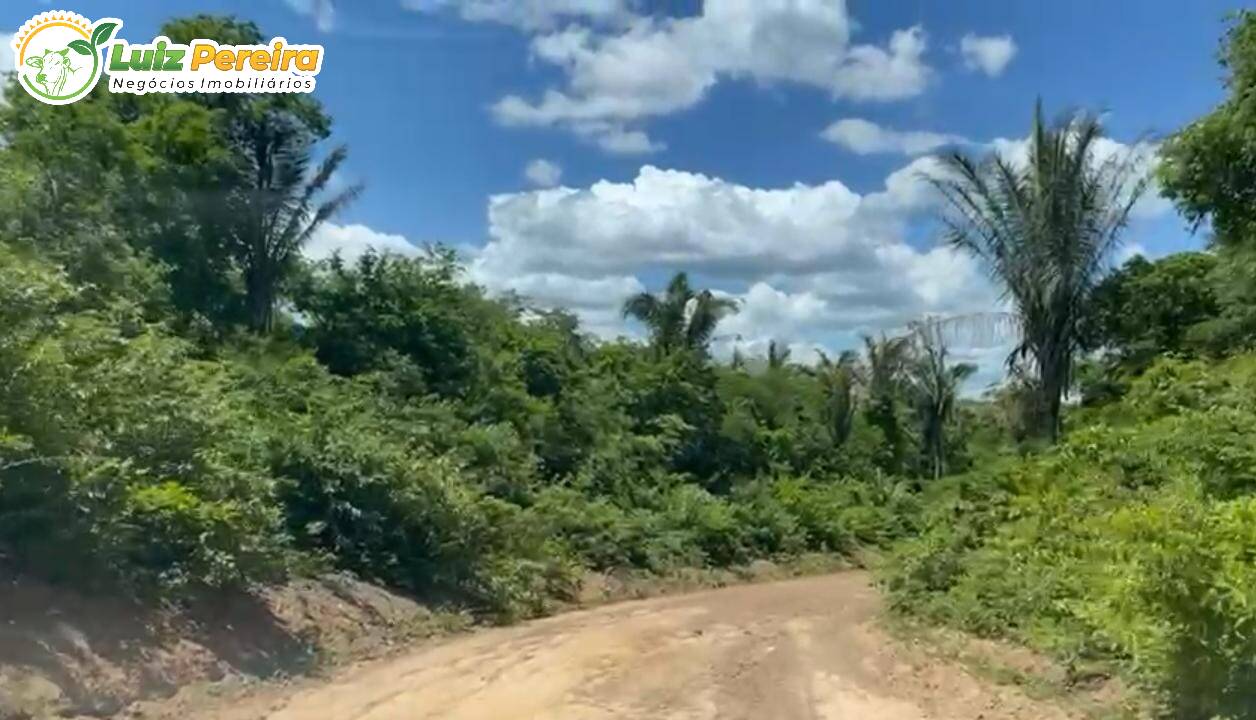 Fazenda à venda, 100000000m² - Foto 5