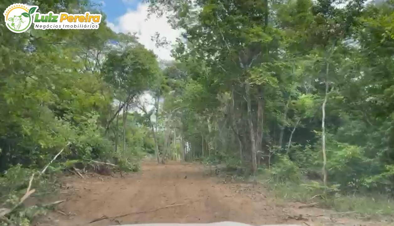 Fazenda à venda, 100000000m² - Foto 6