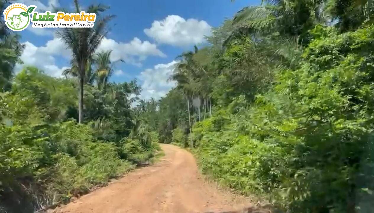 Fazenda à venda, 100000000m² - Foto 7