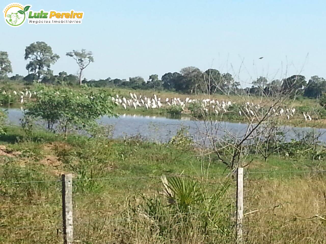 Fazenda à venda, 220700000m² - Foto 3