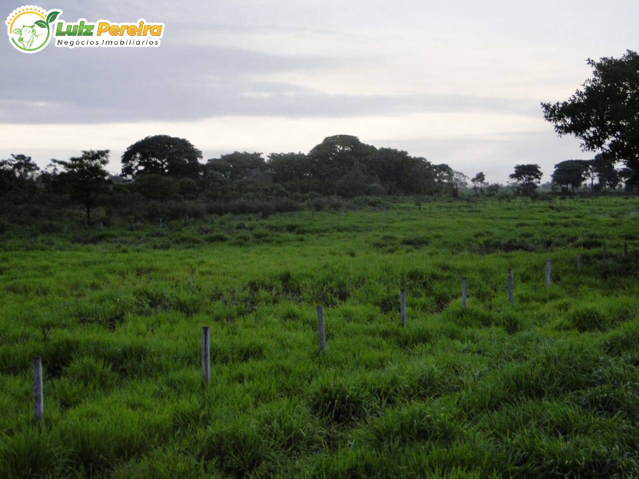 Fazenda à venda, 220700000m² - Foto 5