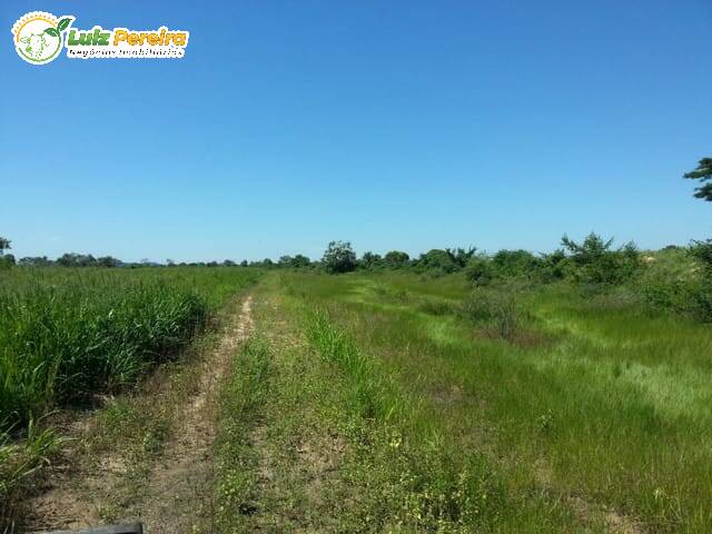 Fazenda à venda, 220700000m² - Foto 8