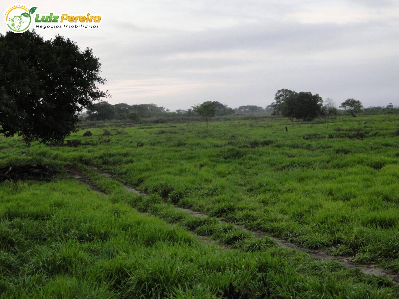 Fazenda-Sítio-Chácara, 22070 hectares - Foto 4