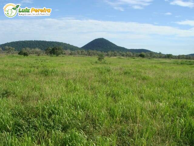 Fazenda à venda, 220700000m² - Foto 9