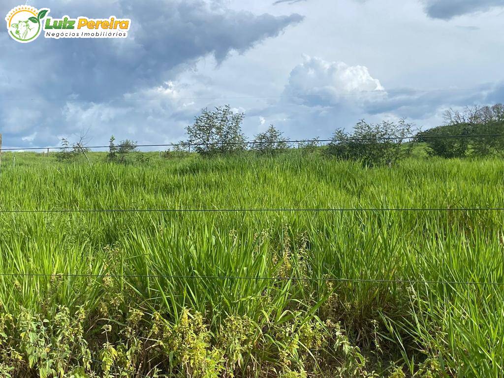 Fazenda à venda, 516m² - Foto 6