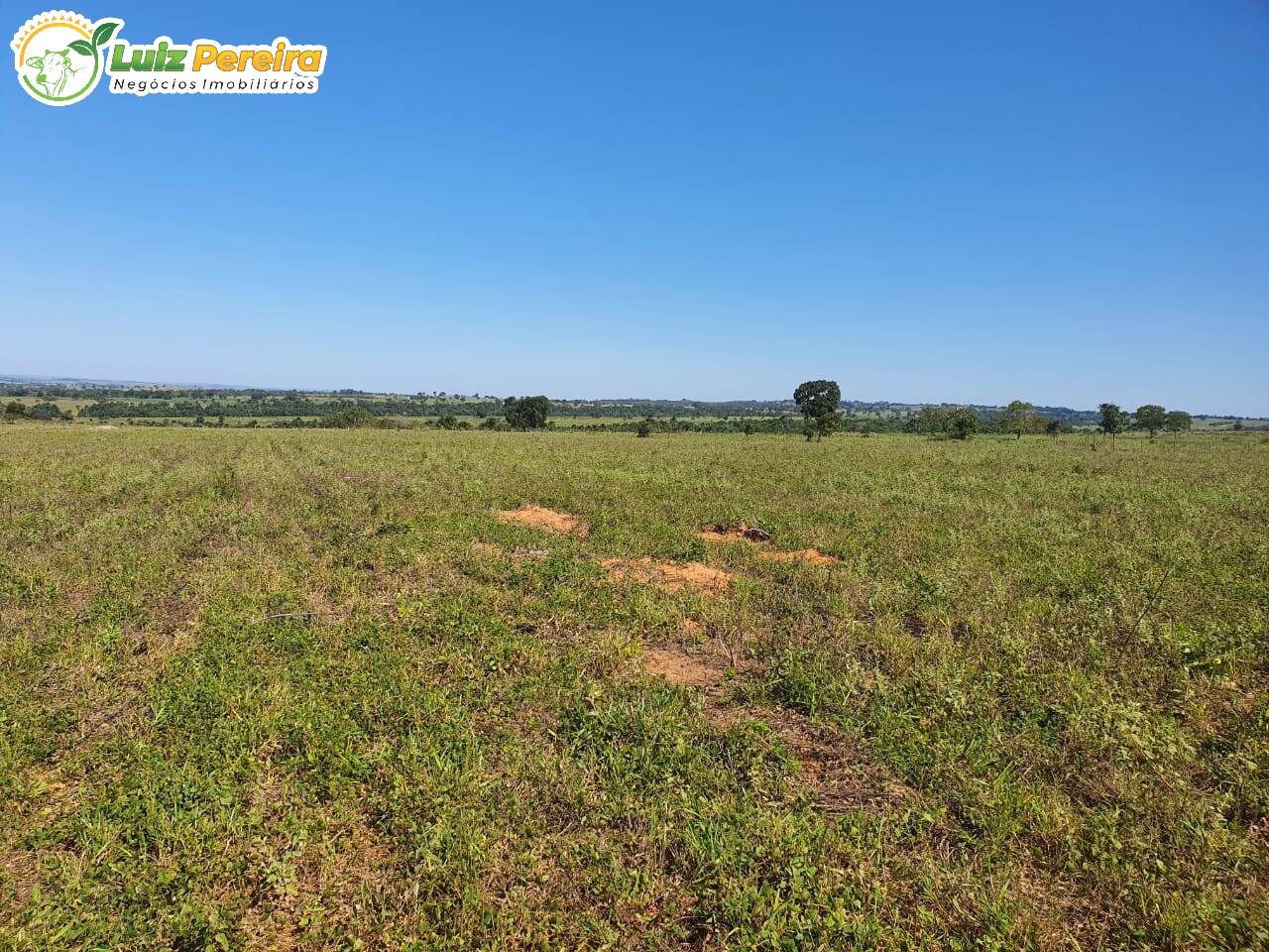 Fazenda à venda, 2400000m² - Foto 12