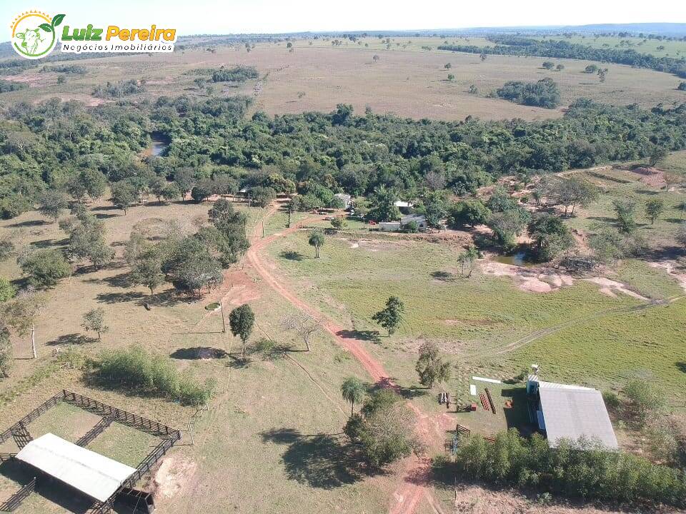 Fazenda-Sítio-Chácara, 240 hectares - Foto 1