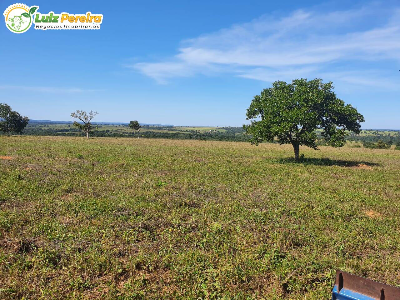 Fazenda à venda, 2400000m² - Foto 11