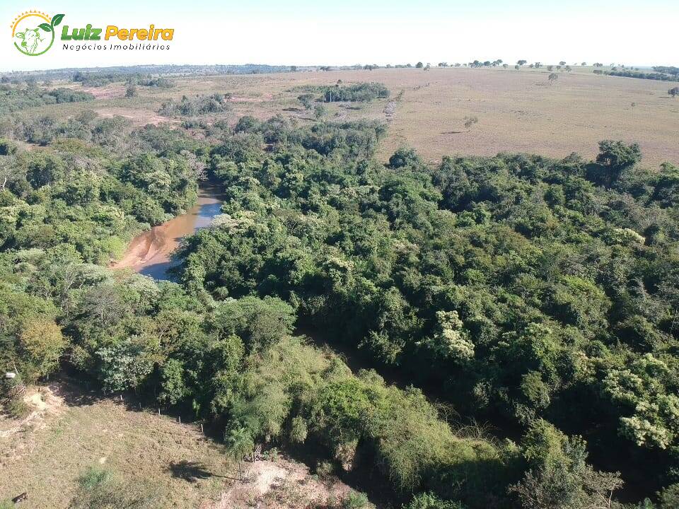 Fazenda à venda, 2400000m² - Foto 6