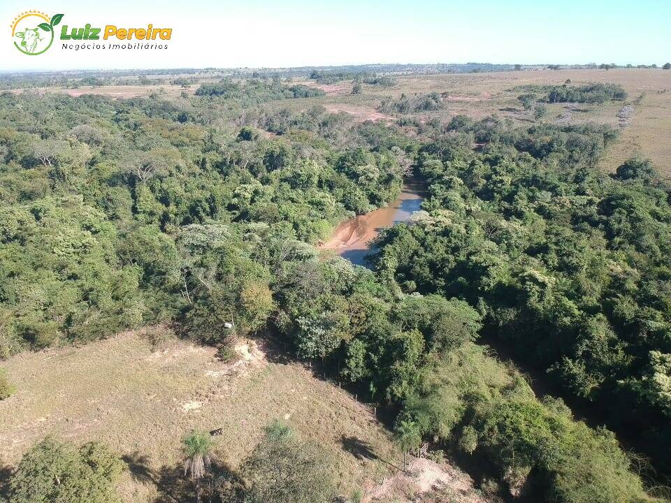 Fazenda à venda, 2400000m² - Foto 8