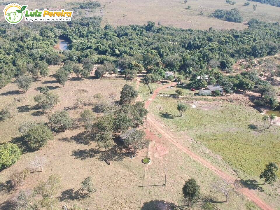 Fazenda-Sítio-Chácara, 240 hectares - Foto 4