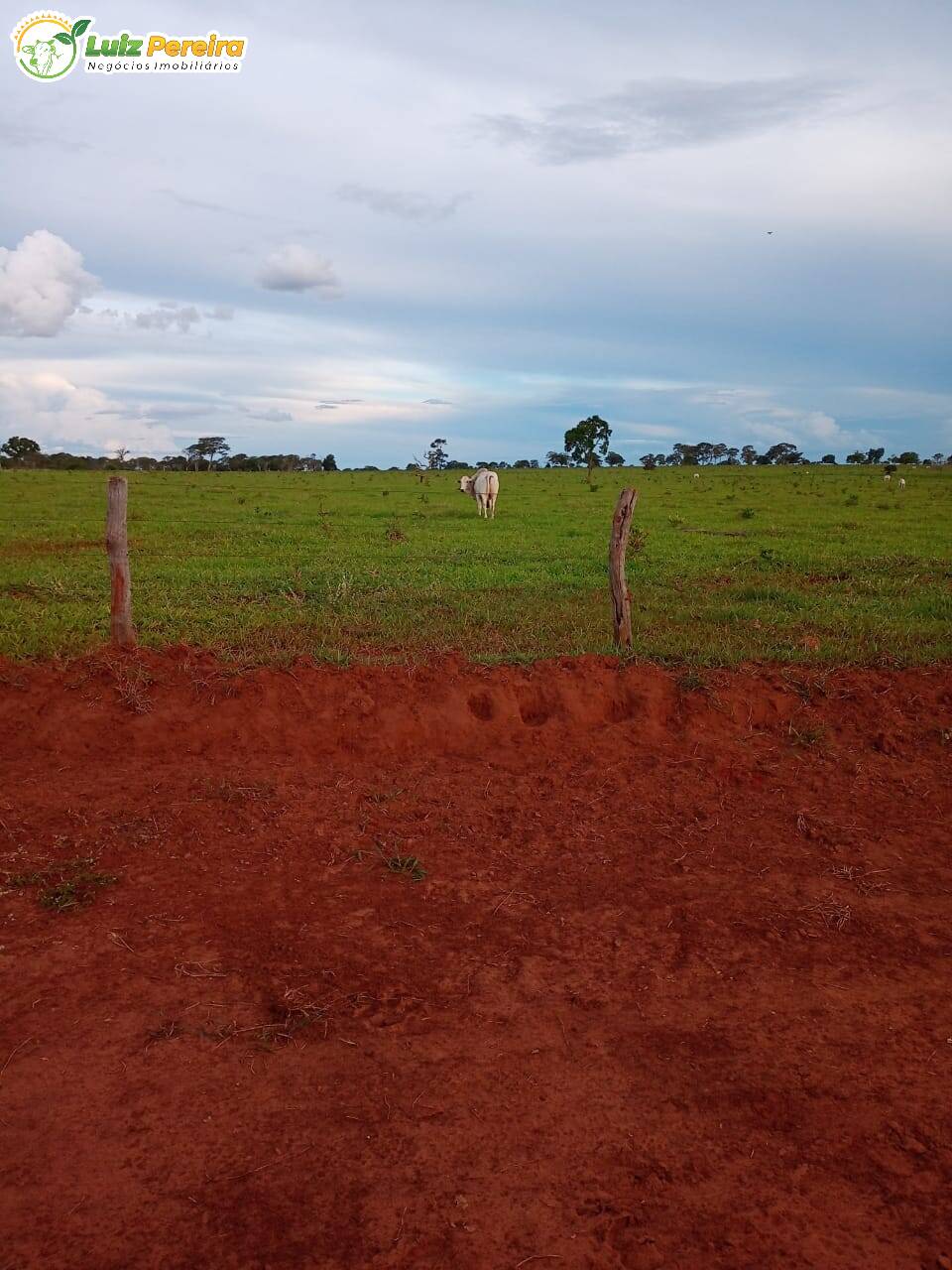 Fazenda à venda, 7500000m² - Foto 6