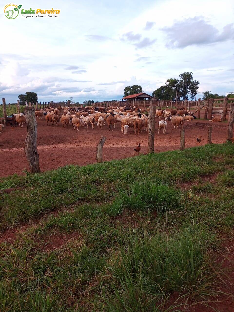 Fazenda à venda, 7500000m² - Foto 2