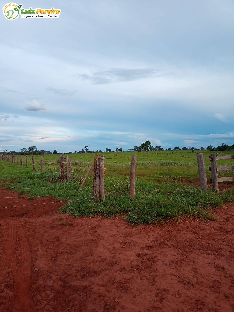 Fazenda à venda, 7500000m² - Foto 7