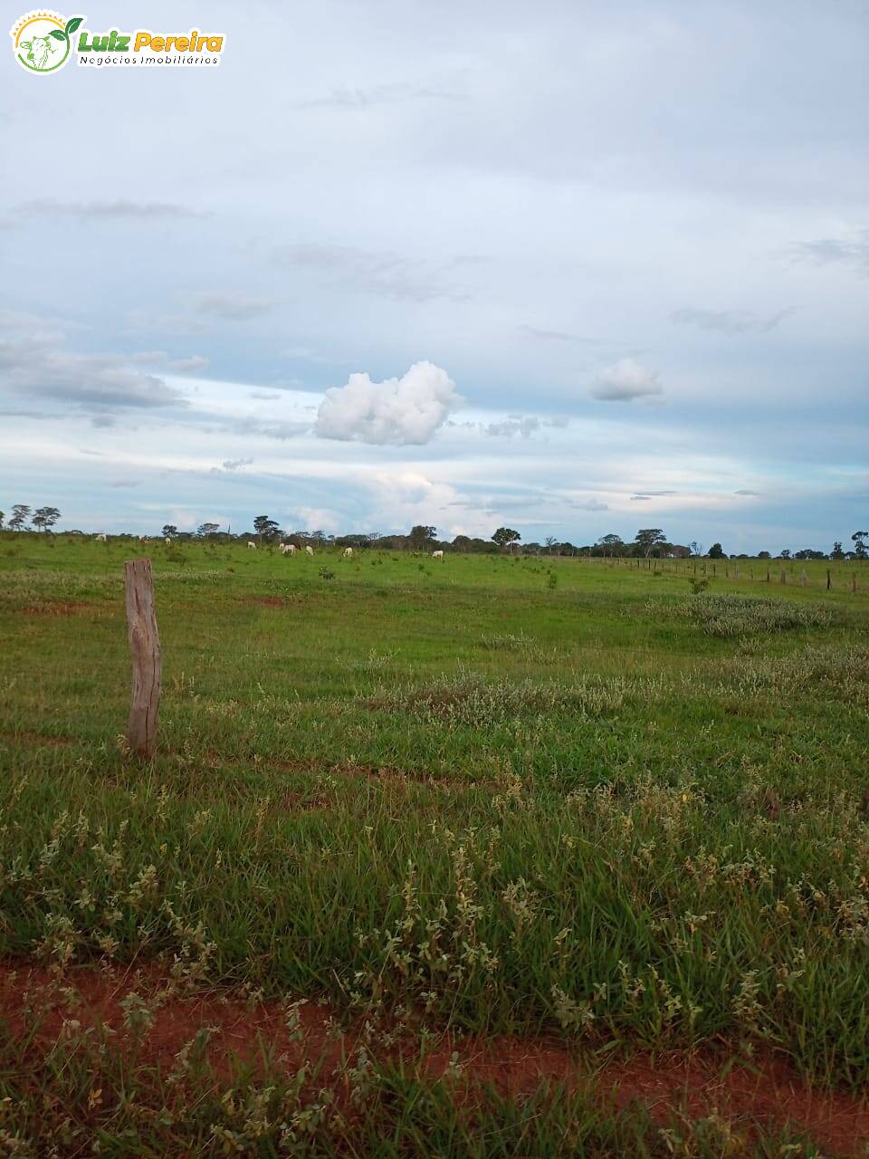 Fazenda à venda, 7500000m² - Foto 1