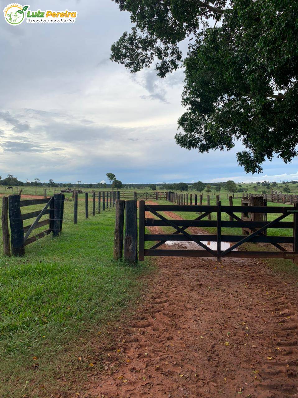 Fazenda à venda, 10285000m² - Foto 22