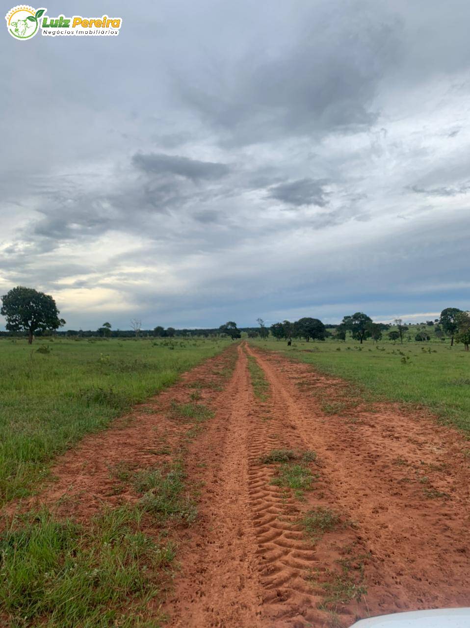 Fazenda à venda, 10285000m² - Foto 26