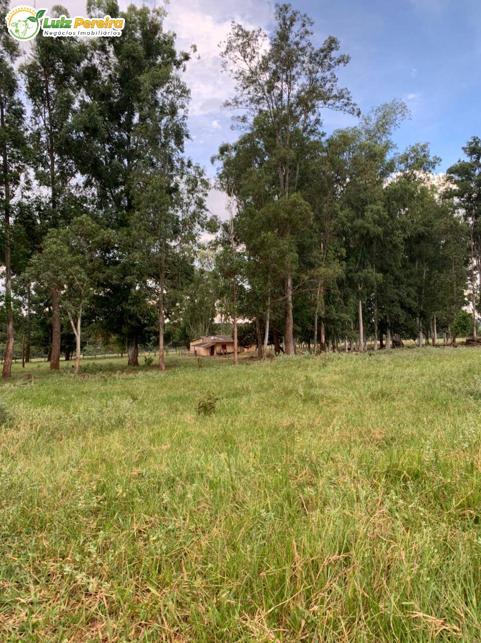 Fazenda à venda, 10285000m² - Foto 6