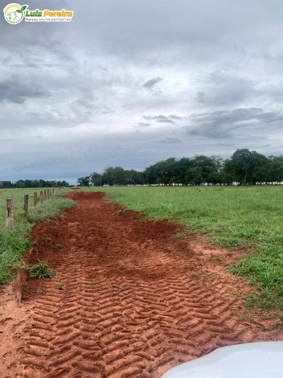 Fazenda à venda, 10285000m² - Foto 27