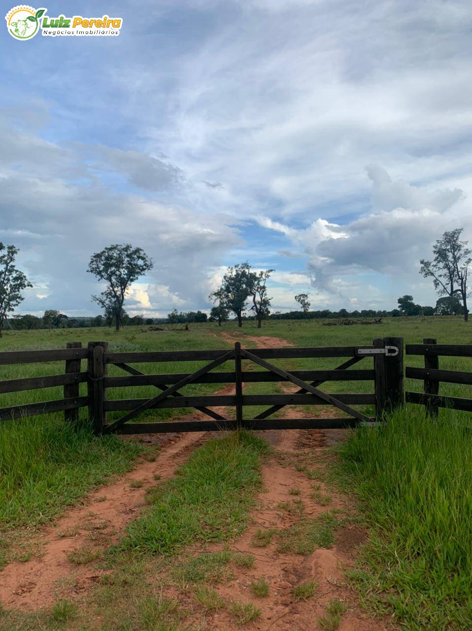 Fazenda à venda, 10285000m² - Foto 24