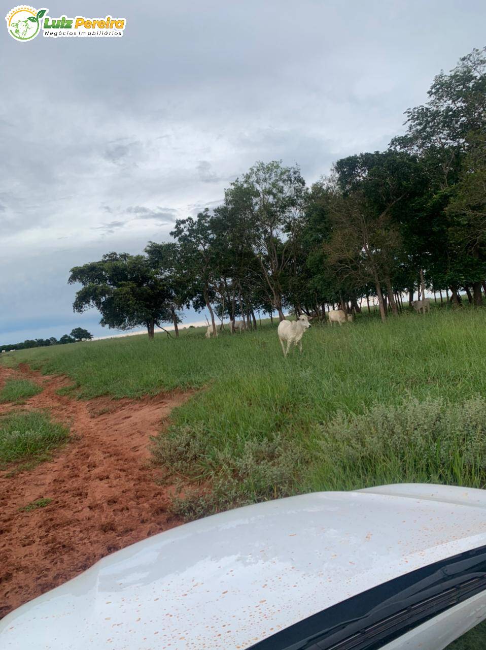 Fazenda à venda, 10285000m² - Foto 28